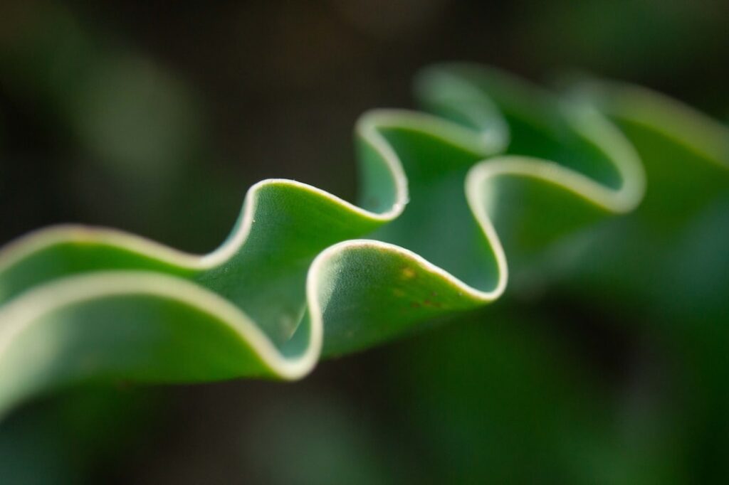 Photo Geometric shapes